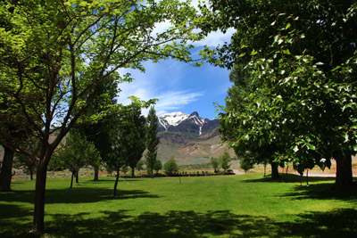 Steens from Alvord Ranch